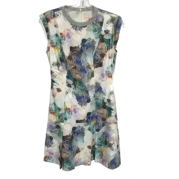Women Size 2 Rebecca Taylor Enchanted Gardens Drop-Waist Floral-Print Mini Dress - Picture 4 of 8